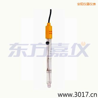 安陽(yáng)可填充玻璃管電極