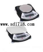 長春便攜式天平,500g,0.1g