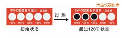 大連示溫片