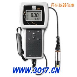 丹東便攜式溶解氧測(cè)量?jī)x