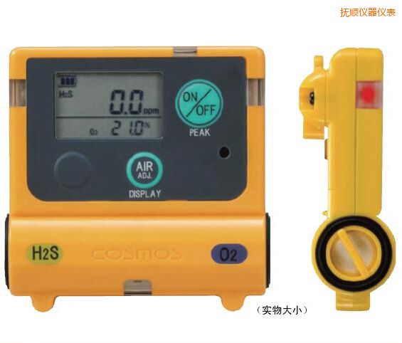 撫順復合型氣體檢測器