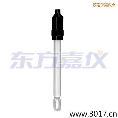 膠南玻璃外殼無溫補兩線電導率電極