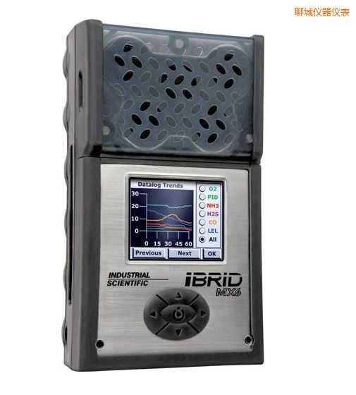 聊城復(fù)合式6氣體檢測(cè)儀
