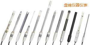 盤錦多功能電極