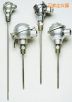 帶保護頭的工業(yè)熱電偶