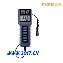 泰安溶解氧、溫度測(cè)量?jī)x