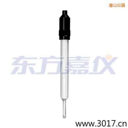 唐山玻璃外殼無溫補兩線電導(dǎo)率電極