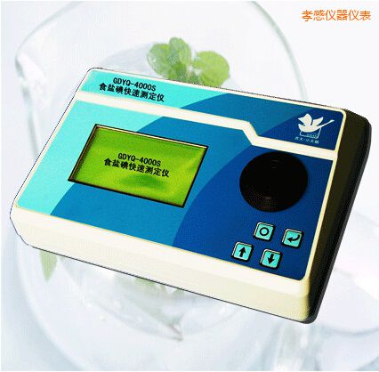 孝感食鹽碘快速測(cè)定儀