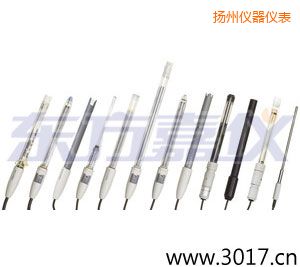 揚(yáng)州pH電極