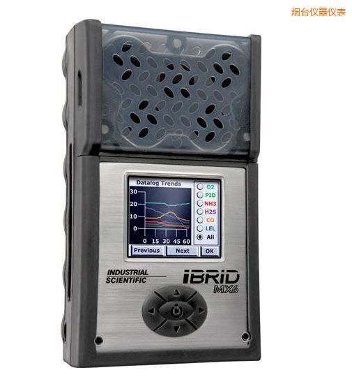 煙臺(tái)復(fù)合式6氣體檢測儀