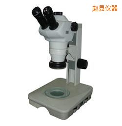 趙縣時(shí)代體視顯微鏡