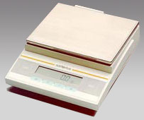 株洲電子天平,3100g,0.1g