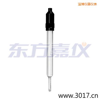 淄博玻璃外殼無(wú)溫補(bǔ)兩線電導(dǎo)率電極