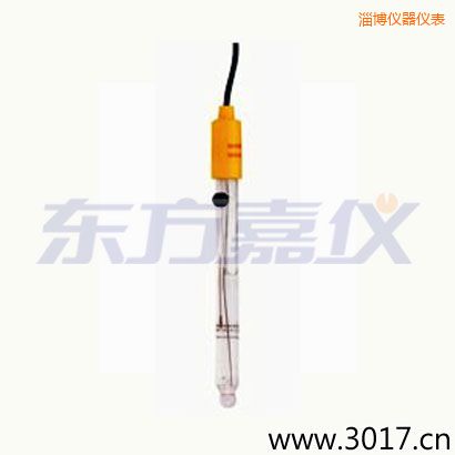 淄博可填充玻璃管電極